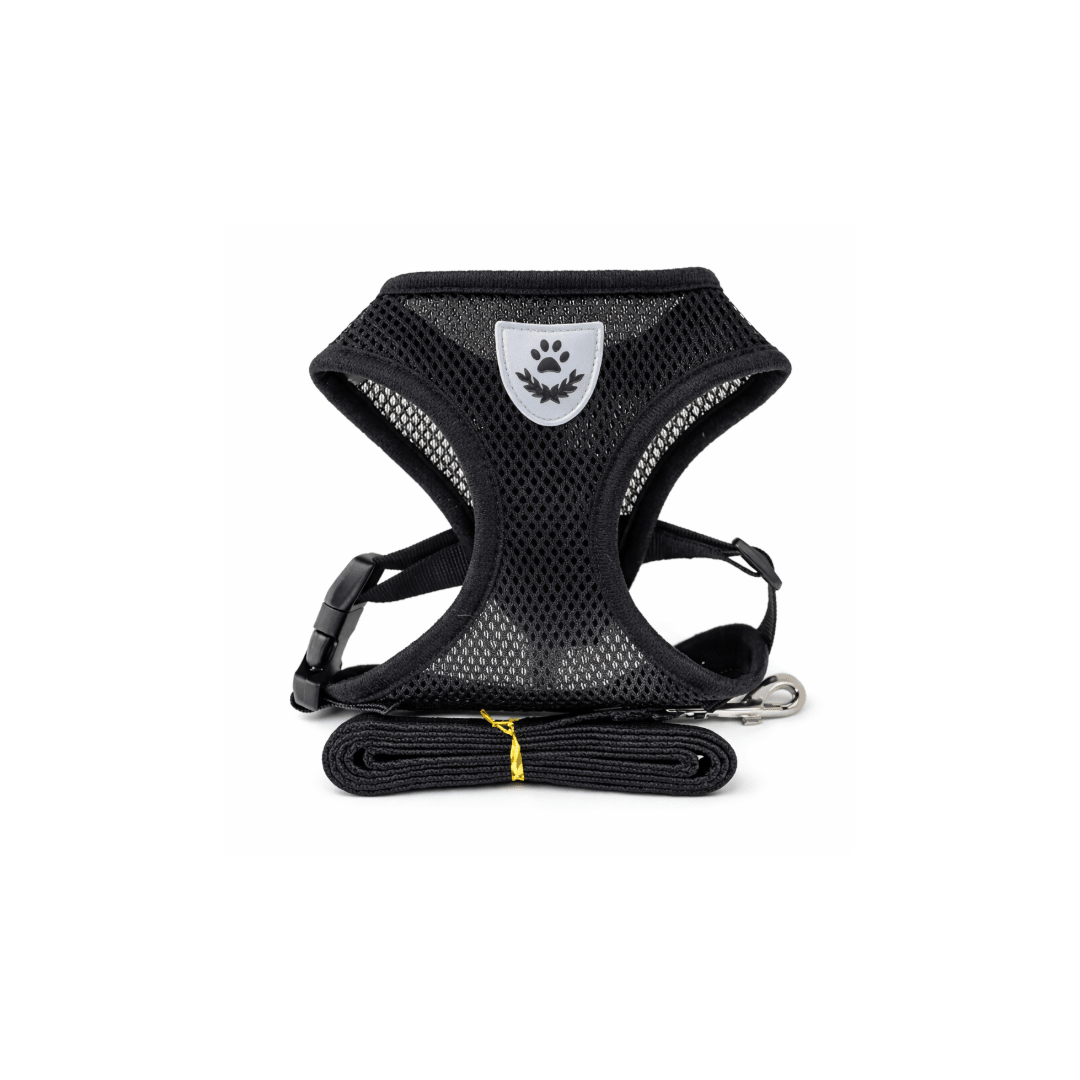 Breathable Mesh Dog Harness & Leash Set - StopNshop