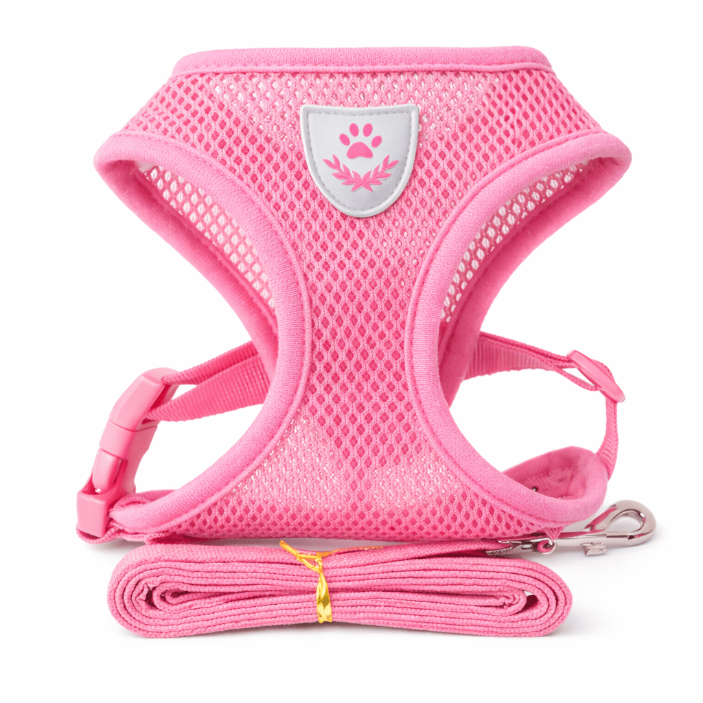 Breathable Mesh Dog Harness & Leash Set - StopNshop