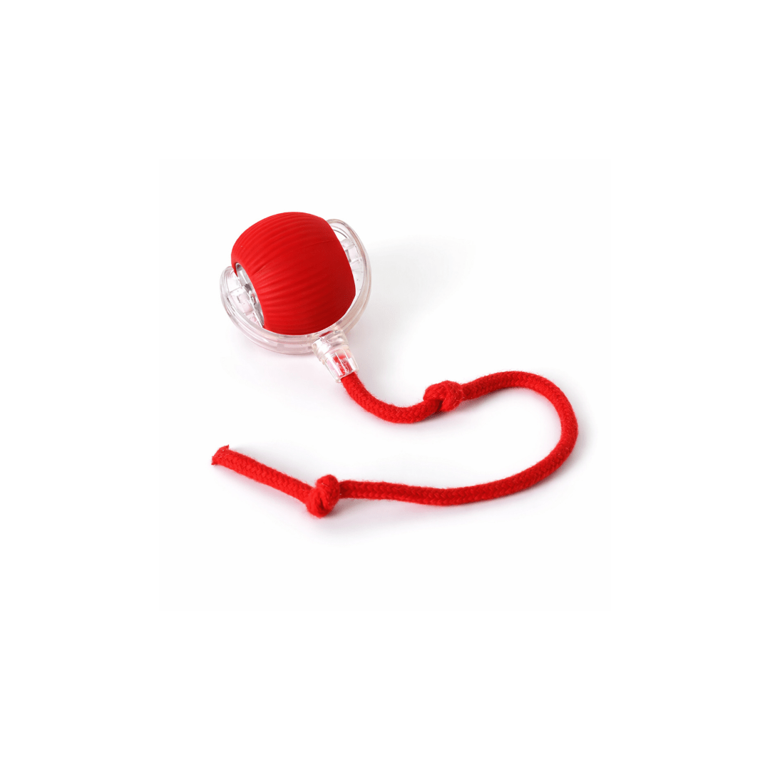 Interactive Electric Ball | Automatic Rolling pet toy - StopNshop