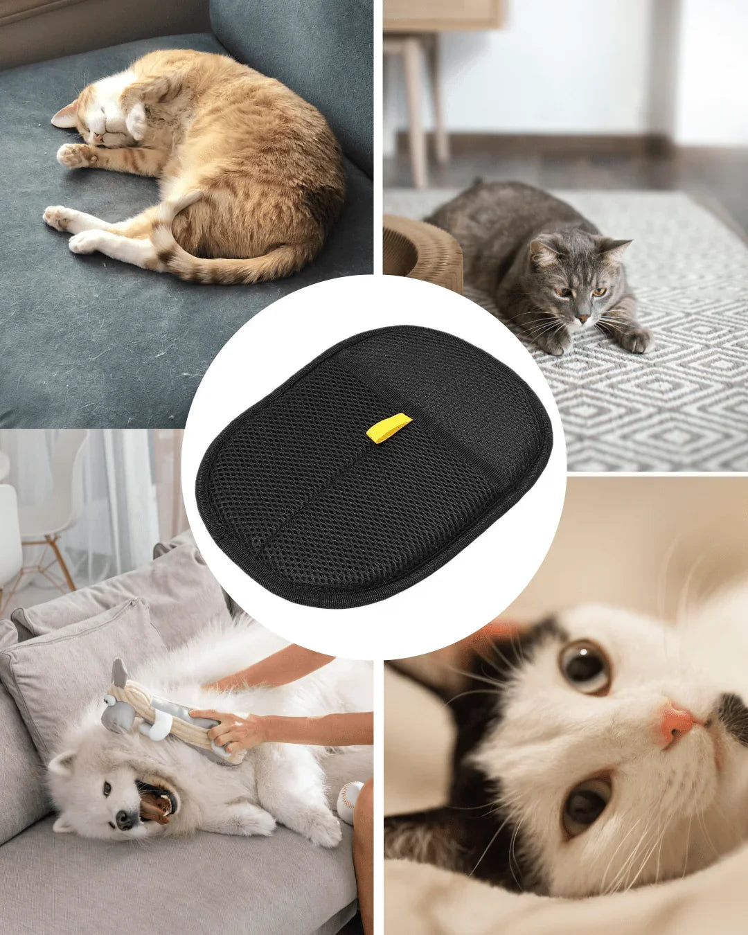 Pet Hair Removal Glove - StopNshop
